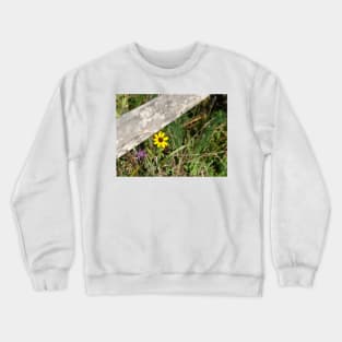 Pastel effect small bright yellow flower in field under rustic wooden fence rail.  imagine this on a  card or as wall art fine art canvas or framed print on your wall Crewneck Sweatshirt